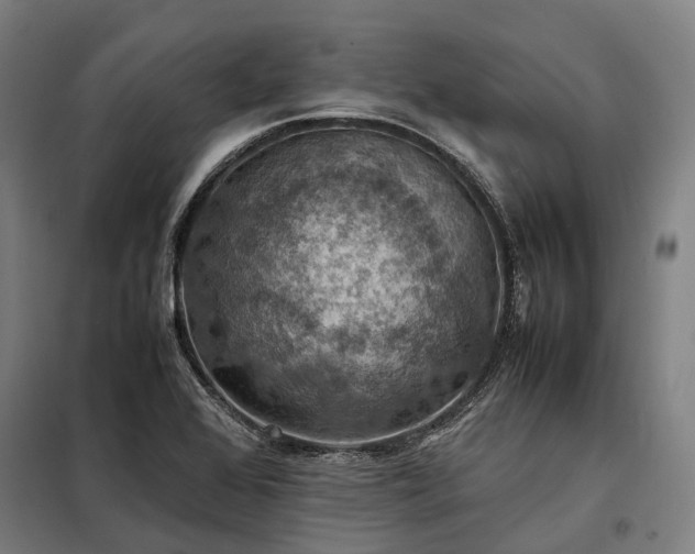 X0000098001368200804021021