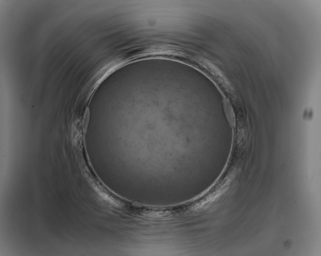 X0000098001369200804021021