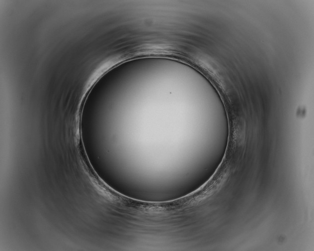 X0000098001370200804021021