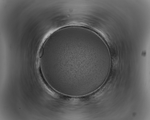 X0000098001371200804021021