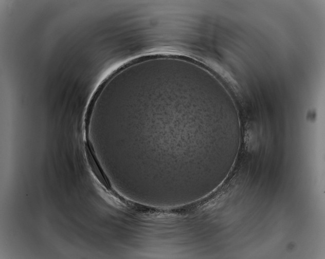 X0000098001372200804021021