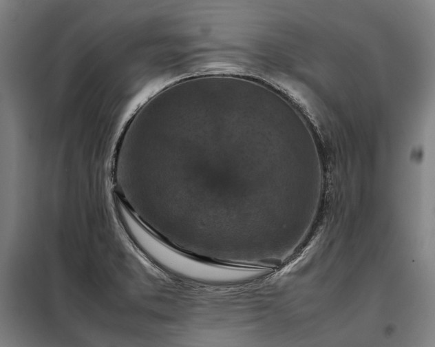 X0000098001373200804021021