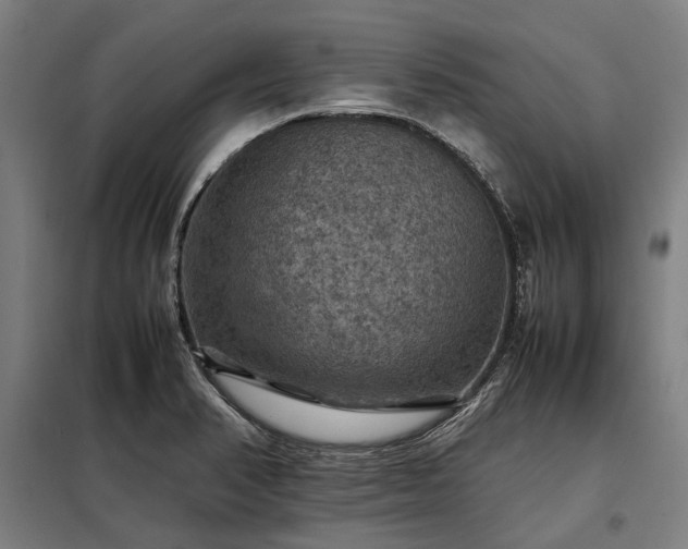 X0000098001374200804021021