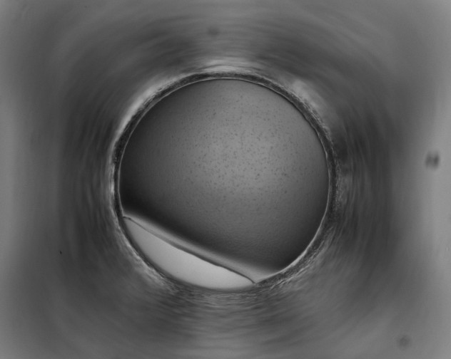 X0000098001376200804021021