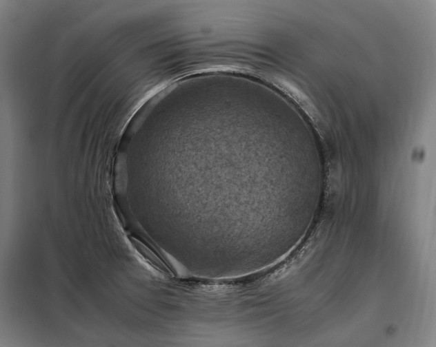 X0000098001377200804021021