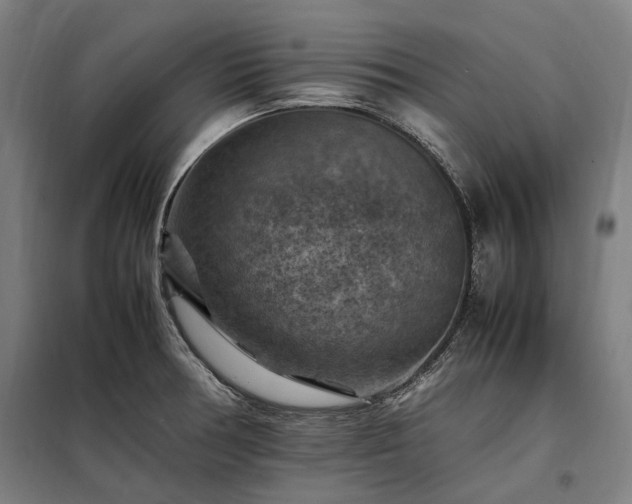 X0000098001378200804021021