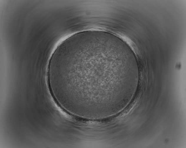X0000098001379200804021021