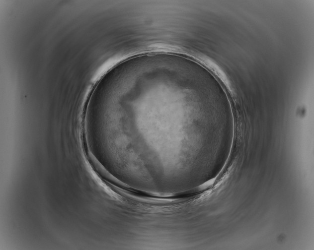 X0000098001381200804021021