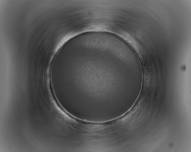 X0000098001382200804021021