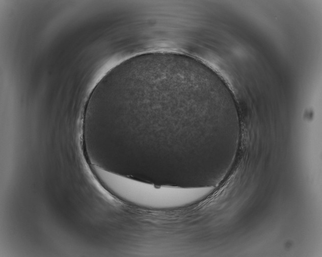 X0000098001383200804021021