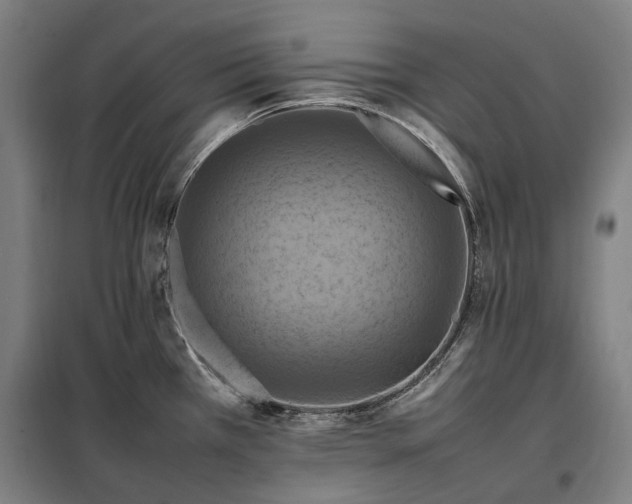 X0000098001385200804021021
