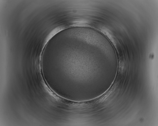 X0000098001386200804021021