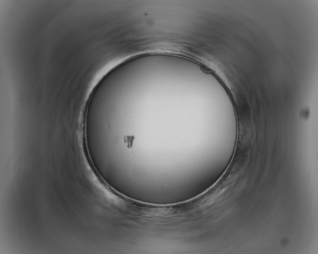 X0000098001387200804021021