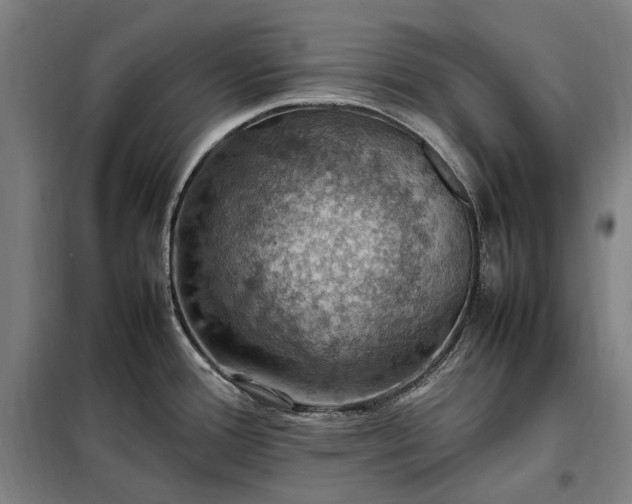 X0000098001388200804021021
