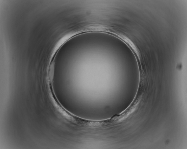 X0000098001389200804021021