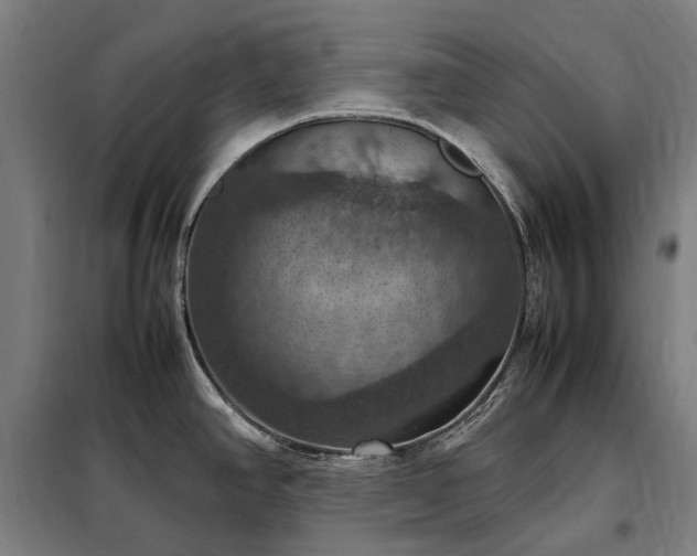 X0000098001390200804021021