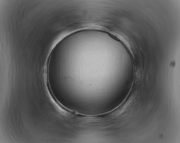 X0000098001391200804021021
