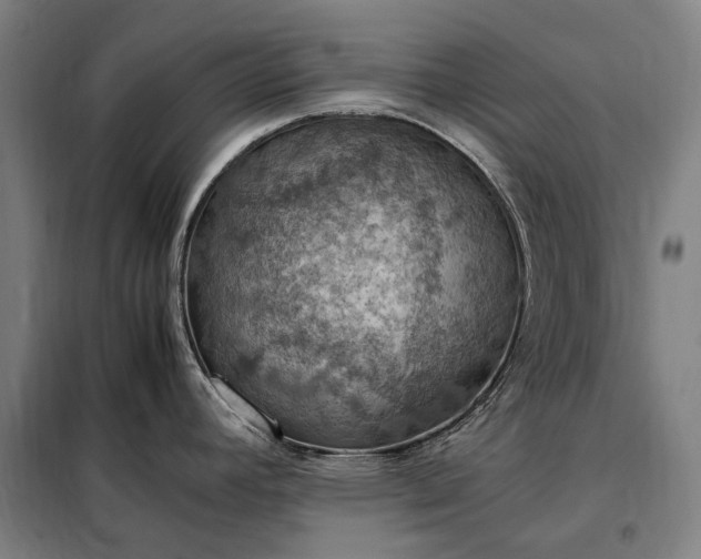 X0000098001392200804021021