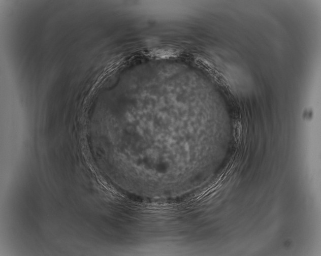 X0000098001393200804021020