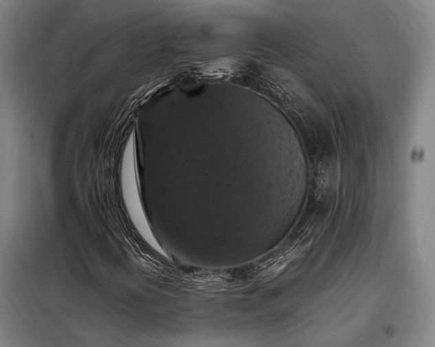 X0000098001394200804021020