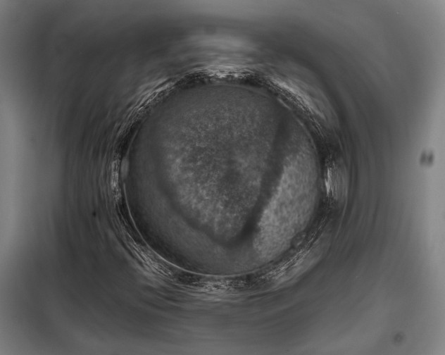 X0000098001396200804021021