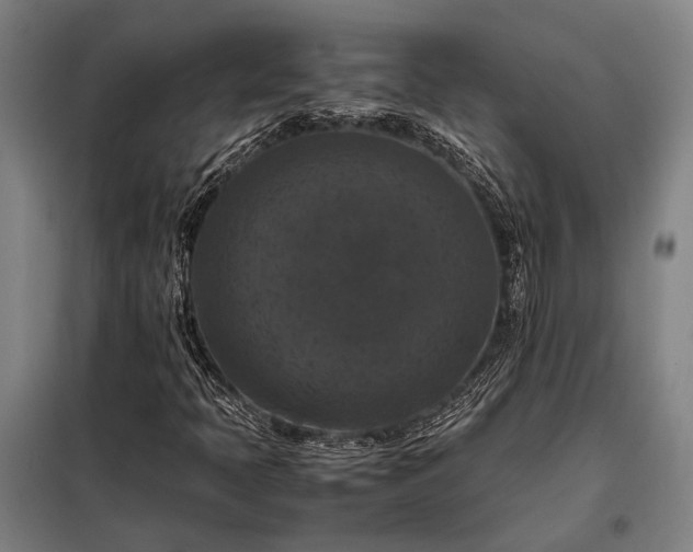 X0000098001397200804021021