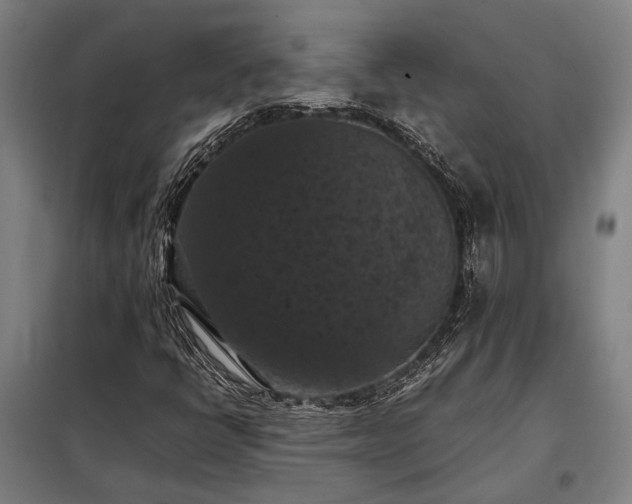 X0000098001398200804021021