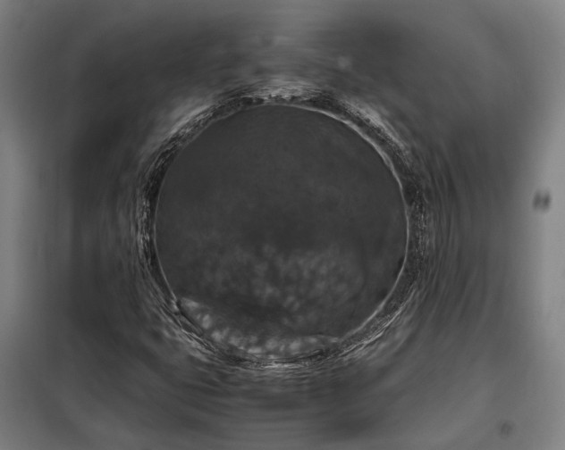 X0000098001399200804021021