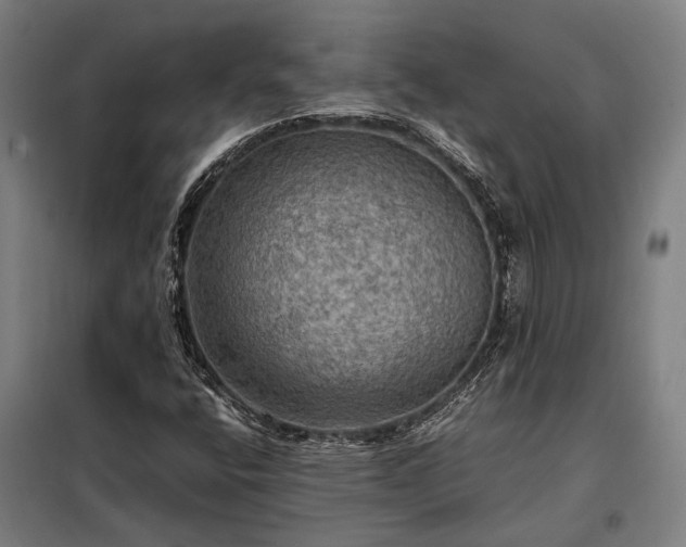 X0000098001400200804021021