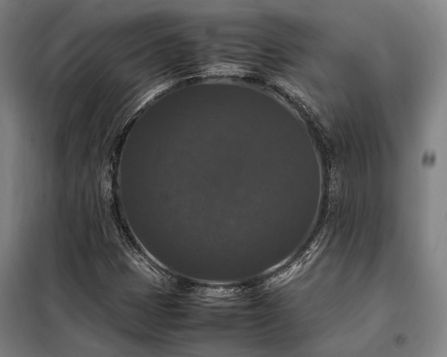 X0000098001401200804021021
