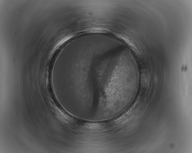 X0000098001402200804021021