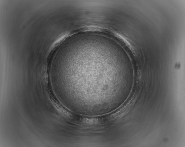 X0000098001403200804021021