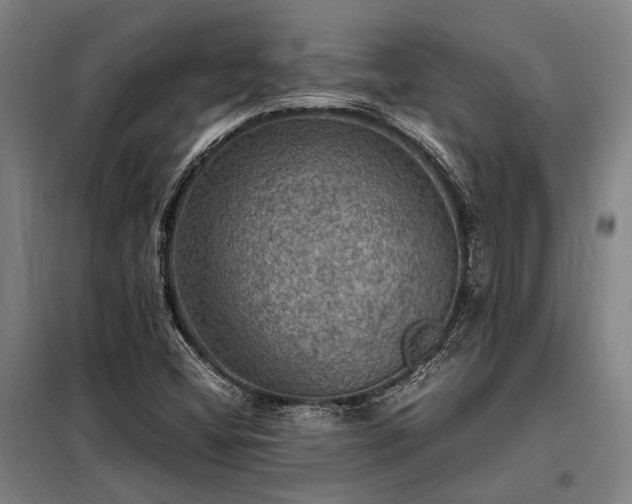 X0000098001404200804021021