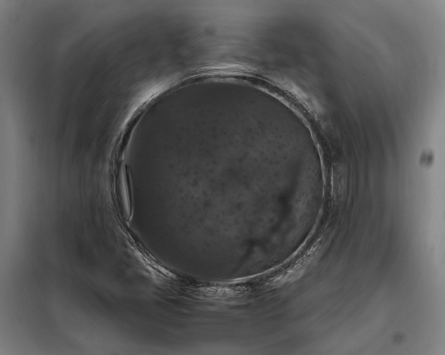 X0000098001405200804021021