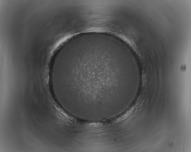 X0000098001406200804021021