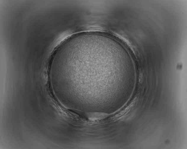 X0000098001407200804021021