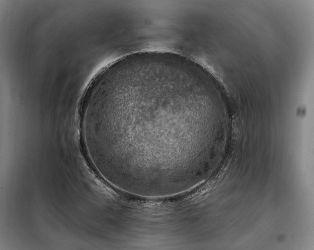 X0000098001408200804021021