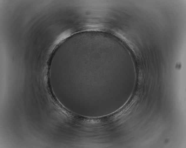 X0000098001411200804021021