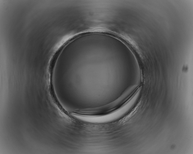 X0000098001414200804021021