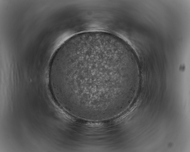 X0000098001415200804021021