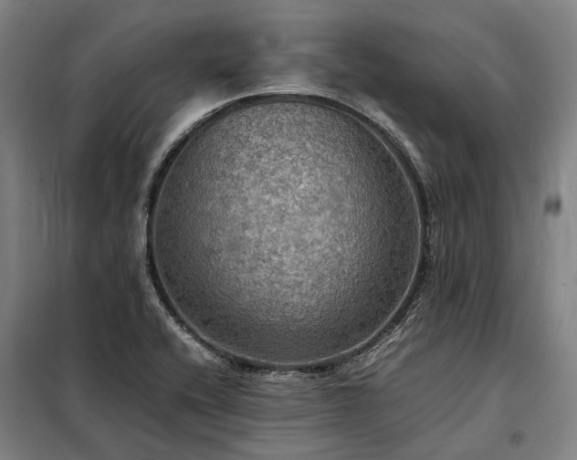 X0000098001416200804021021