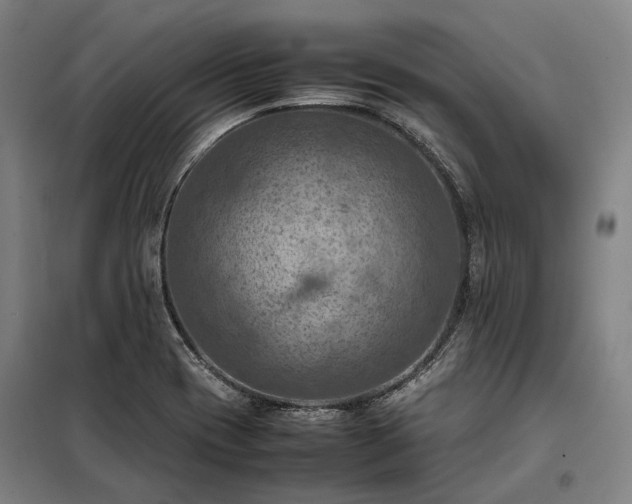 X0000098001417200804021021
