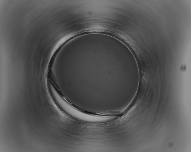 X0000098001418200804021021
