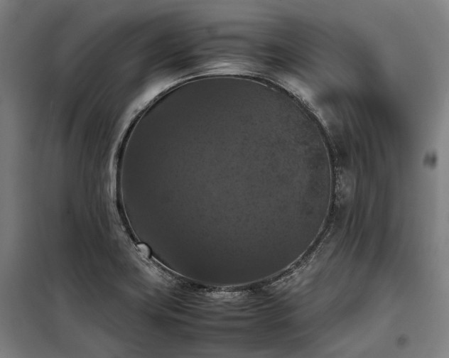 X0000098001419200804021021