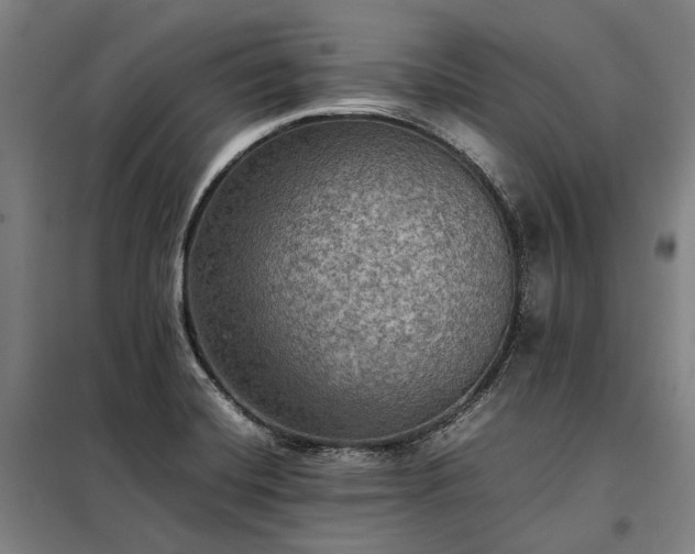 X0000098001420200804021021