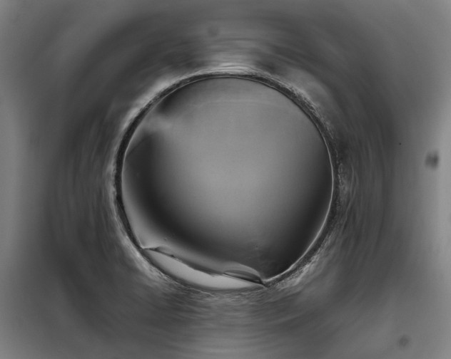 X0000098001422200804021021