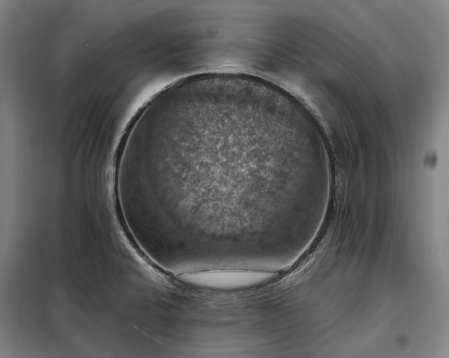 X0000098001424200804021021