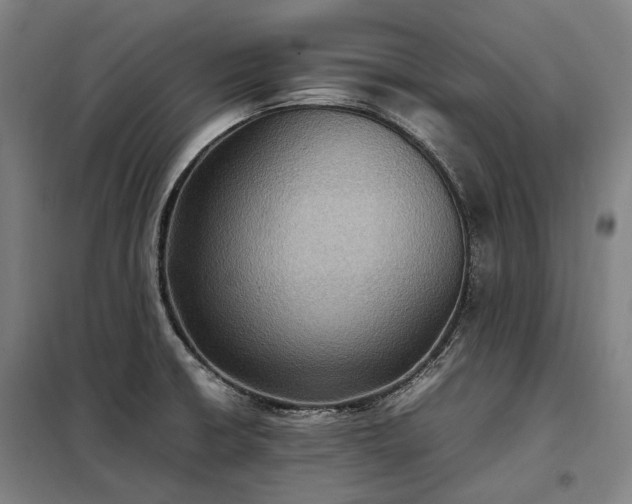 X0000098001426200804021021