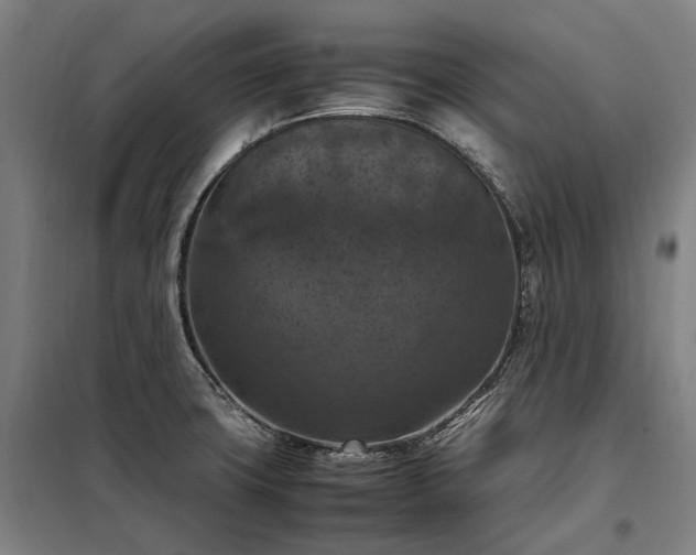 X0000098001427200804021021