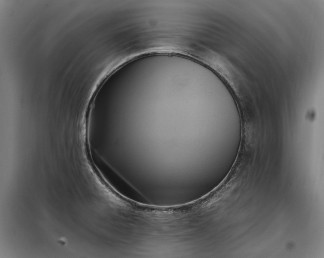 X0000098001428200804021021